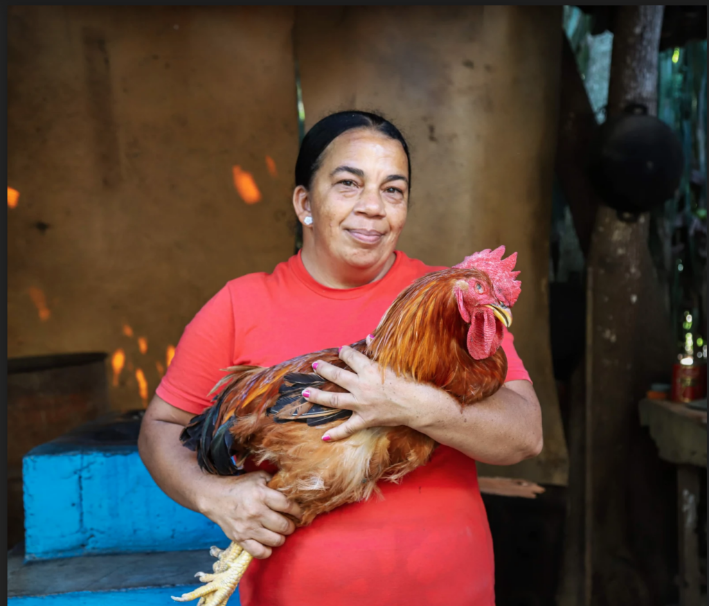 Woman from Dominican Republic holding chicken